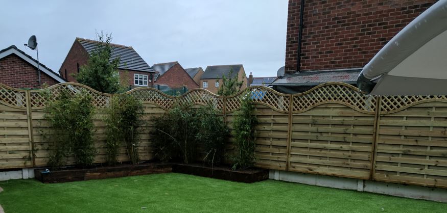Bamboo planted in sleeper beds along new garden fencing